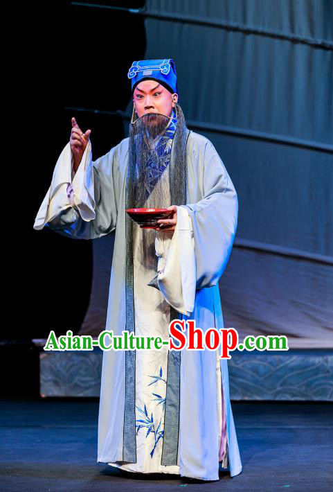 Six Chapters of A Floating Life Chinese Peking Opera Laosheng Apparels Costumes and Headpieces Beijing Opera Elderly Male Garment Scholar Shen Fu Clothing