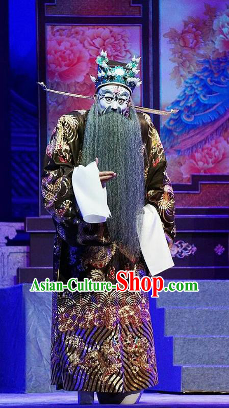 Princess Changping Chinese Peking Opera Official Chongzhen Garment Costumes and Headwear Beijing Opera Elderly Male Apparels Minister Zhou Zhong Clothing