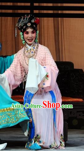 Chinese Beijing Opera Hua Tan Garment The Dream Of Red Mansions Costumes and Hair Accessories Traditional Peking Opera Young Female You Erjie Dress Apparels