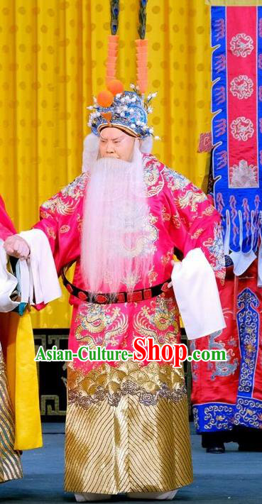 Zhu Lian Zhai Chinese Peking Opera Laosheng Apparels Costumes and Headpieces Beijing Opera Elderly Male Garment King Li Keyong Clothing