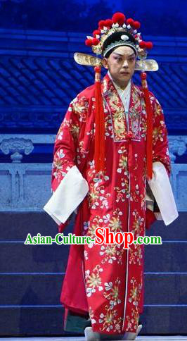 Princess Changping Chinese Peking Opera Bridegroom Garment Costumes and Headwear Beijing Opera Young Male Apparels Scholar Zhou Shixian Wedding Clothing