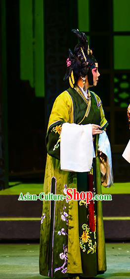 Chinese Beijing Opera Dame Apparels Anecdote of Jian An Costumes and Headdress Traditional Peking Opera Elderly Female Dress Countess Garment