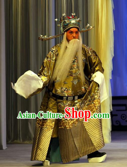 Zhan Hong Zhou Chinese Peking Opera Laosheng Garment Costumes and Headwear Beijing Opera Elderly Male Apparels Official Yang Yanzhao Clothing