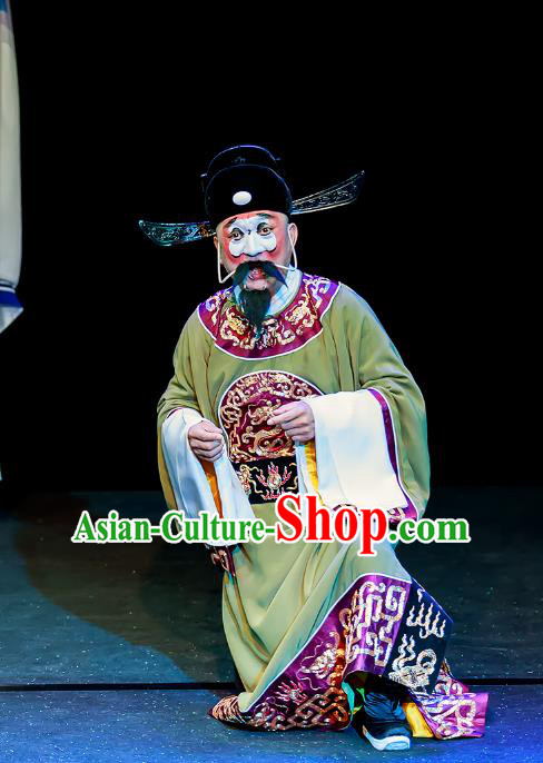 Chun Ri Yan Chinese Peking Opera Treacherous Official Garment Costumes and Headwear Beijing Opera Chou Apparels Minister Zhang Jingting Clothing