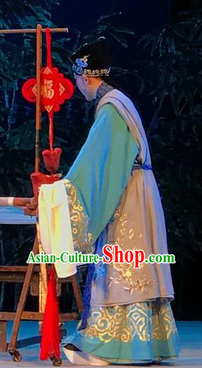 Hong Ling Yan Chinese Peking Opera Xiaosheng Apparels Costumes and Headpieces Beijing Opera Young Male Garment Niche Clothing