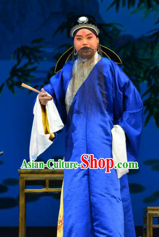 Hong Ling Yan Chinese Peking Opera Elderly Male Apparels Costumes and Headpieces Beijing Opera Laosheng Garment Clothing