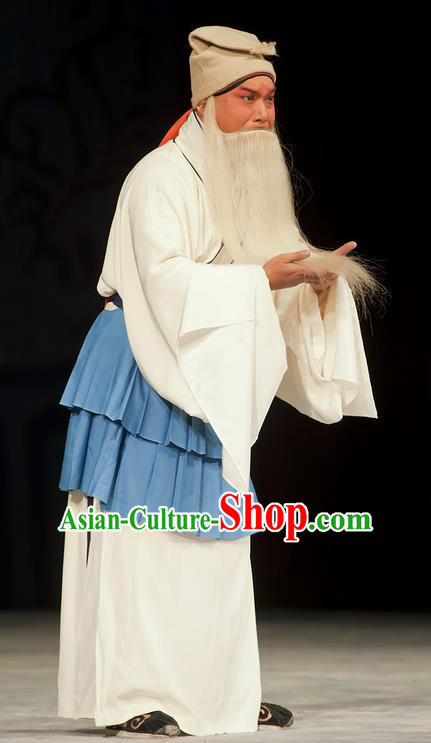 Zhou Ren Xian Sao Chinese Peking Opera Elderly Male Apparels Costumes and Headpieces Beijing Opera Laosheng Garment Old Servant Clothing