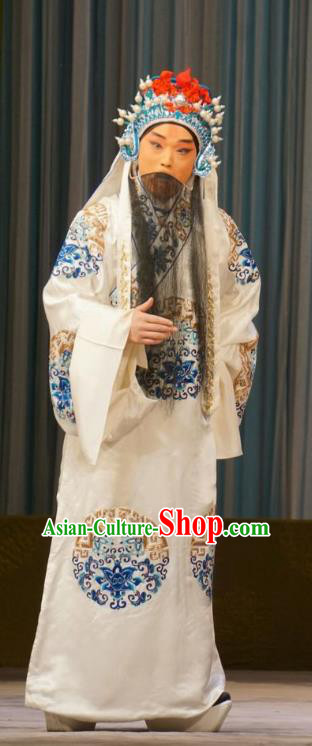 Mu Yang Juan Chinese Peking Opera Elderly Male Zhu Chundeng Apparels Costumes and Headpieces Beijing Opera Official Garment Minister Clothing