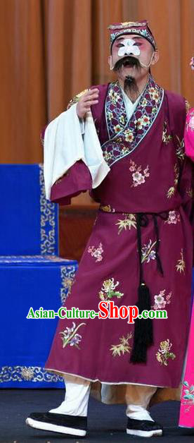 Li Sanniang Chinese Peking Opera Chou Apparels Costumes and Headpieces Beijing Opera Elder Brother Garment Clown Clothing