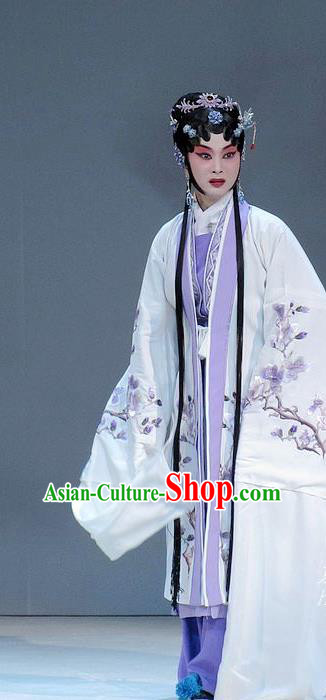 Chinese Beijing Opera Hua Tan Tang Wan Garment Costumes and Hair Accessories Traditional Peking Opera Actress Dress Young Mistress Apparels