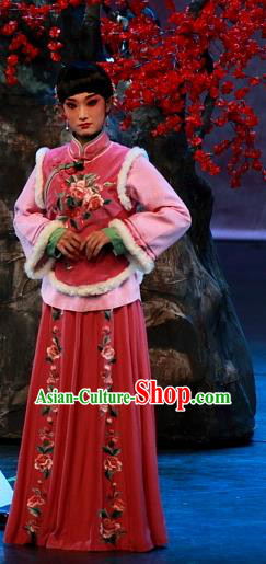 Chinese Beijing Opera Rich Lady Garment Luo Mei Yin Costumes and Hair Accessories Traditional Peking Opera Xiaodan Qin Dress Young Beauty Apparels