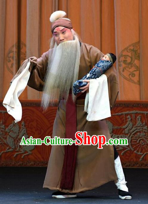 Li Sanniang Chinese Peking Opera Laosheng Apparels Costumes and Headpieces Beijing Opera Elderly Male Garment Clothing