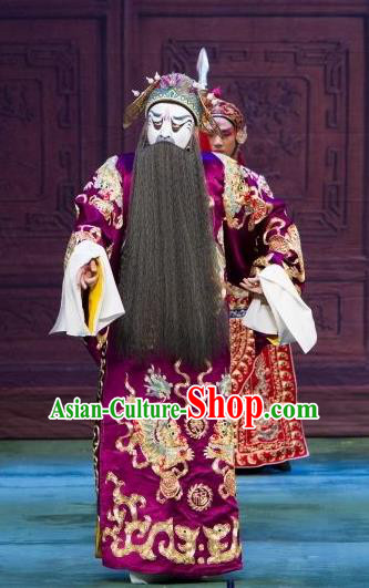 Ye Zhu Lin Chinese Peking Opera Painted Face Apparels Costumes and Headpieces Beijing Opera Elderly Male Garment Grand Commandant Gao Qiu Clothing