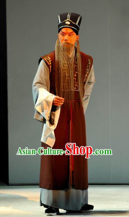 Tang Wan Chinese Peking Opera Poet Lu You Apparels Costumes and Headpieces Beijing Opera Elderly Male Garment Laosheng Clothing