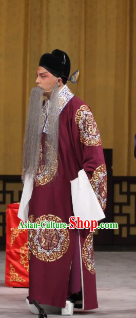 Jin Yunu Chinese Peking Opera Elderly Male Apparels Costumes and Headpieces Beijing Opera Official Garment Laosheng Lin Run Clothing