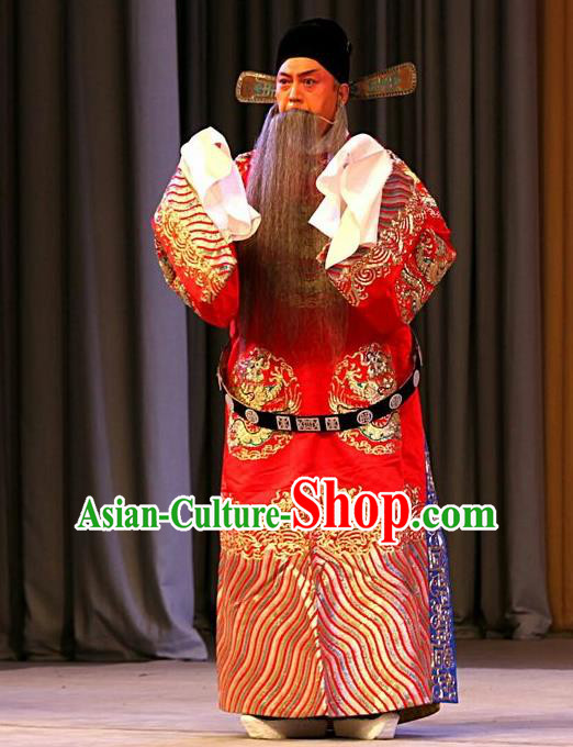 Jin Yunu Chinese Peking Opera Official Lin Run Apparels Costumes and Headpieces Beijing Opera Elderly Male Garment Python Embroidered Robe Clothing