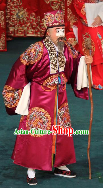 Jin Yunu Chinese Peking Opera Landlord Jin Song Apparels Costumes and Headpieces Beijing Opera Clown Garment Elderly Man Clothing