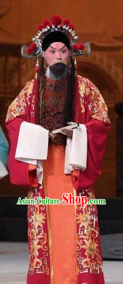 Xiang Lian Case Chinese Peking Opera Prince Chen Shimei Apparels Costumes and Headpieces Beijing Opera Scholar Garment Clothing