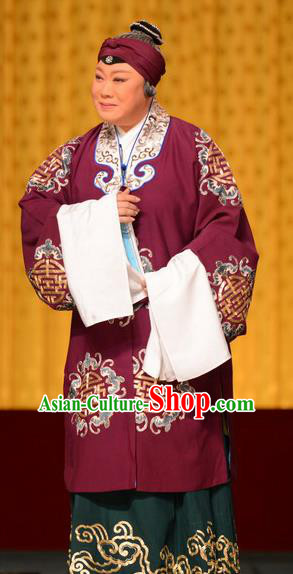 Chinese Beijing Opera Laodan Garment Snow in June Costumes and Hair Accessories Traditional Peking Opera Pantaloon Dress Dame Apparels