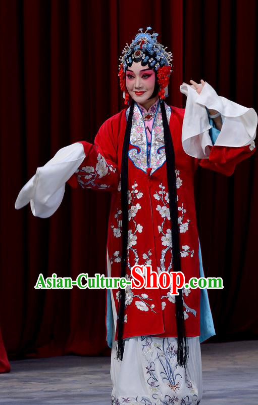 Chinese Beijing Opera Bride Dou E Garment Snow in June Costumes and Hair Accessories Traditional Peking Opera Actress Red Dress Hua Tan Apparels