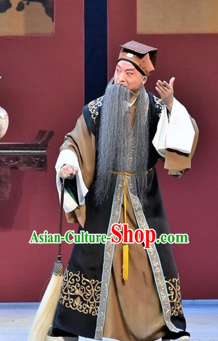 Ming City Wall Chinese Peking Opera Laosheng Apparels Costumes and Headpieces Beijing Opera Elderly Male Garment Taoist Clothing