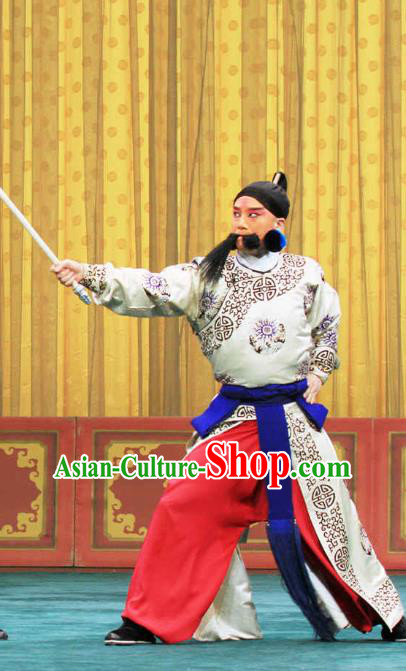 Bai Shui Tan Chinese Peking Opera Swordsman Liu Renjie Apparels Costumes and Headpieces Beijing Opera Wusheng Garment Takefu Clothing