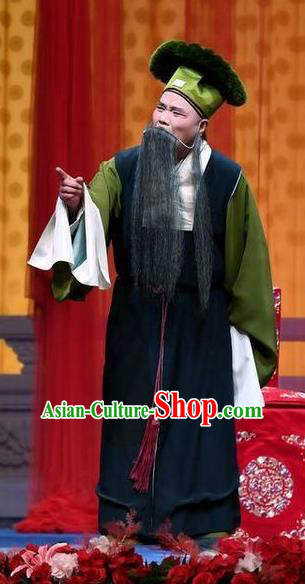 Jie Mei Yi Jia Chinese Peking Opera Laosheng Apparels Costumes and Headpieces Beijing Opera Elderly Male Garment Landlord Zhang Youwang Clothing