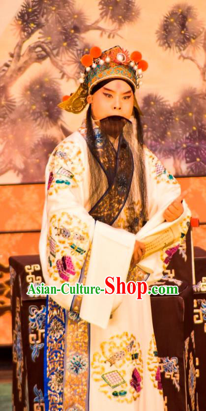 Zeng Ti Pao Chinese Peking Opera Laosheng Apparels Costumes and Headpieces Beijing Opera Elderly Male Garment Fan Ju Clothing