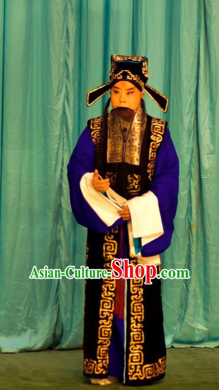 Zeng Ti Pao Chinese Peking Opera Elderly Male Apparels Costumes and Headpieces Beijing Opera Garment Laosheng Fan Ju Clothing