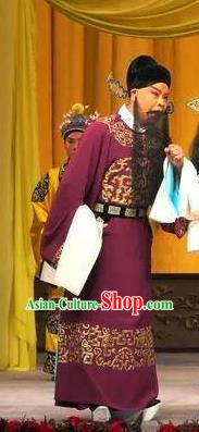 Zeng Ti Pao Chinese Peking Opera Old Man Apparels Costumes and Headpieces Beijing Opera Official Zhang Lu Garment Clothing