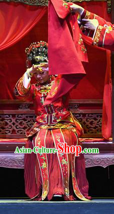 Chinese Ping Opera Young Female Servant Apparels Costumes and Headpieces Jin E Traditional Pingju Opera Bride Cao Yanan Dress Garment