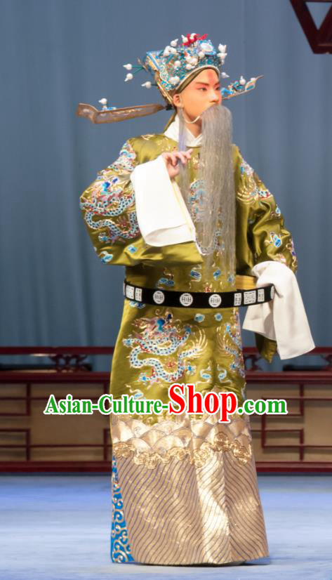 Ban Yao Chinese Ping Opera Minister Garment Costumes and Headwear Pingju Opera Elderly Male Wang Yun Apparels Clothing