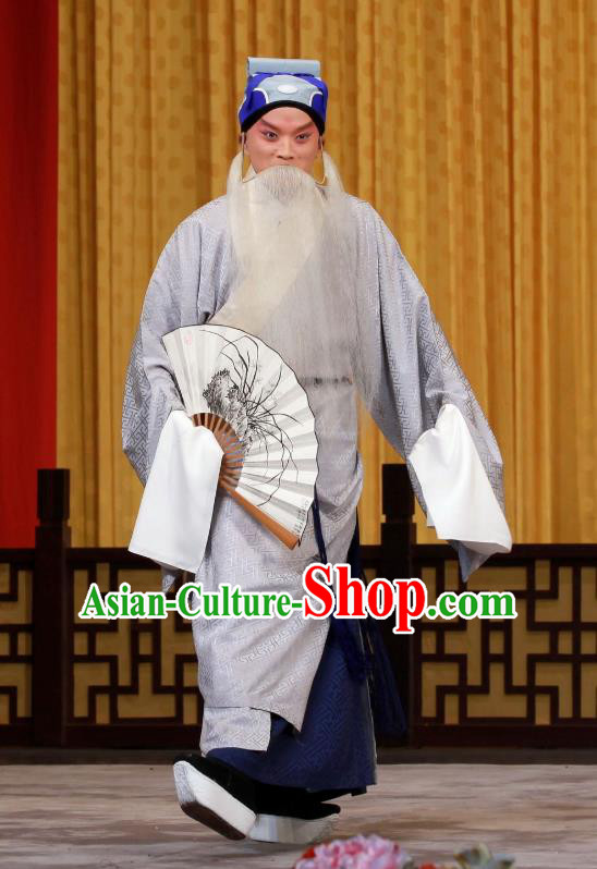 Ying Tian Qiu Chinese Peking Opera Elderly Male Apparels Costumes and Headpieces Beijing Opera Laosheng Garment Prefecture Wang Jun Clothing