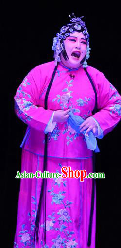 Chinese Ping Opera Elderly Sister Apparels Costumes and Headpieces Li Sanniang Traditional Pingju Opera Mistress Rosy Dress Garment