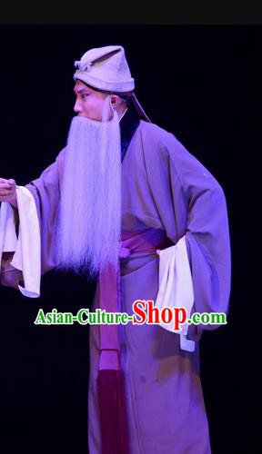 Li Sanniang Chinese Ping Opera Old Servant Garment Costumes and Headwear Pingju Opera Elderly Male Apparels Clothing