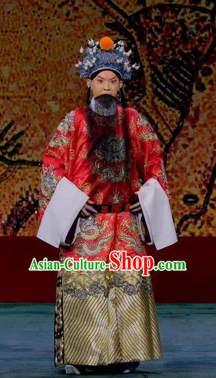 Ding Sheng Chun Qiu Chinese Peking Opera Laosheng Apparels Costumes and Headpieces Beijing Opera Elderly Male Garment King Clothing