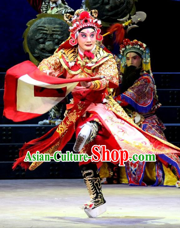 The Tiger Generals Chinese Peking Opera General Li Cunxiao Apparels Costumes and Headpieces Beijing Opera Martial Male Garment Wusheng Clothing