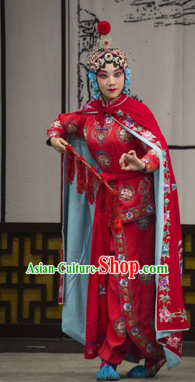 Chinese Beijing Opera Swordswoman Bao Jinhua Garment Costumes and Hair Accessories Long Tan Bao Luo Traditional Peking Opera Actress Dress Martial Female Apparels