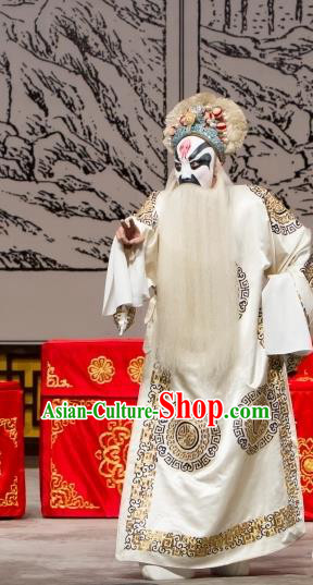 Long Tan Bao Luo Chinese Peking Opera Elderly Man Hu Li Apparels Costumes and Headpieces Beijing Opera Swordsman White Garment Clothing
