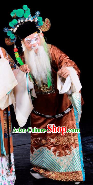 Tai Hou Gai Jia Chinese Sichuan Opera Laosheng Apparels Costumes and Headpieces Peking Opera Chou Garment Chancellor Clothing