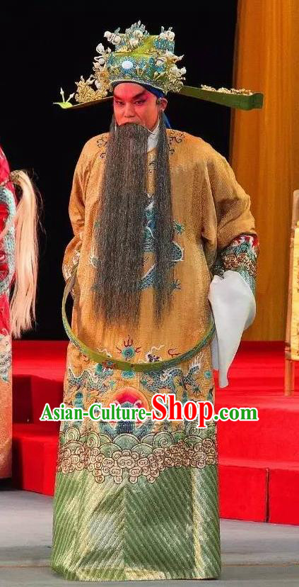 Tai Hou Gai Jia Chinese Sichuan Opera Chancellor Apparels Costumes and Headpieces Peking Opera Elderly Male Garment Prime Minister Clothing