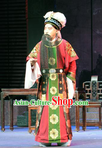 Bei Feng Jin Chinese Peking Opera Official Shi Yisheng Apparels Costumes and Headpieces Beijing Opera Laosheng Garment Elderly Male Clothing