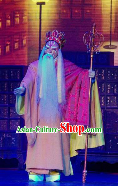 Forbidden Love Chinese Peking Opera Monk Fa Hai Apparels Costumes and Headpieces Beijing Opera Elderly Male Garment Cassock Clothing