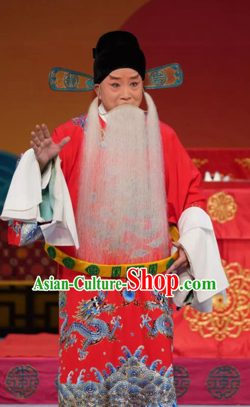 Chinese Peking Opera Elderly Male Apparels Costumes and Headpieces Beijing Opera Laosheng Garment Censor Chen Zhi Clothing