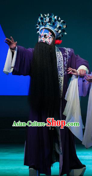 Chinese Peking Opera Martial Male Apparels Costumes and Headpieces Beijing Opera Wusheng Garment Swordsman Clothing