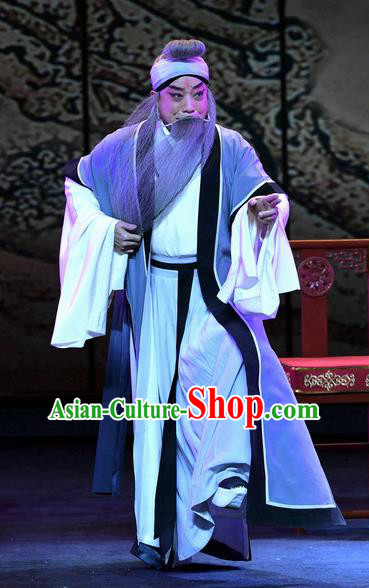 Zhao Jintang Chinese Ping Opera Elderly Male Garment Costumes and Headwear Pingju Opera Laosheng Apparels Old Man Clothing