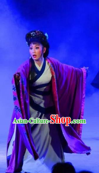 Chinese Sichuan Opera Young Female Costumes and Hair Accessories Yu Hai Kuang Chao Traditional Peking Opera Actress Pu Lan Dress Distress Maiden Apparels