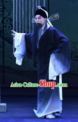 Zhao Jintang Chinese Ping Opera Elderly Male Garment Costumes and Headwear Pingju Opera Laosheng Zhu Chundeng Apparels Clothing