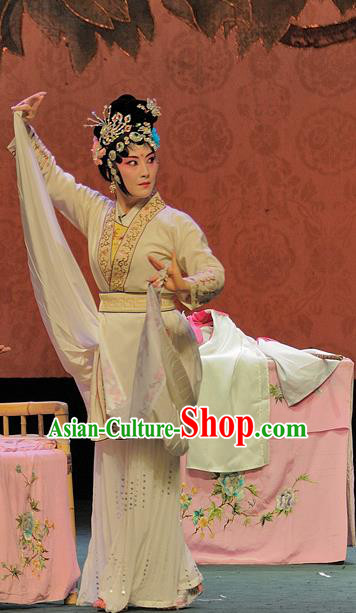 Chinese Sichuan Opera Swordswoman Bai Suzhen The Legend of White Snake Garment Costumes and Hair Accessories Traditional Peking Opera Martial Female Dress Apparels
