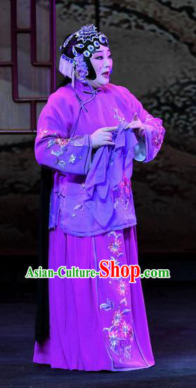 Chinese Ping Opera Elderly Female Apparels Costumes and Headpieces Zhao Jintang Traditional Pingju Opera Aunt Song Dress Garment